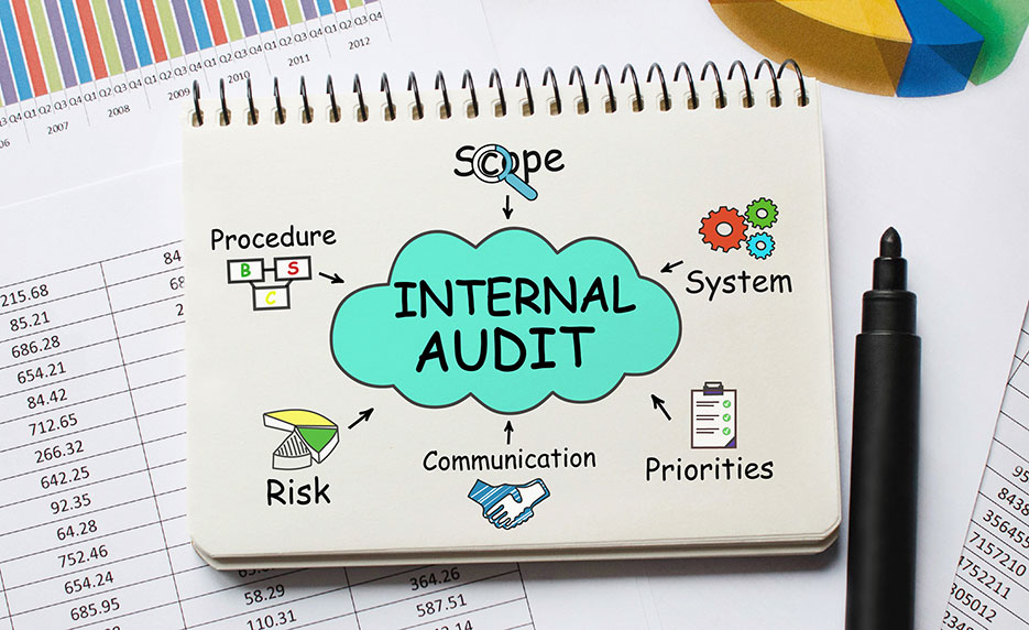 Internal Audit Fraud Detection course